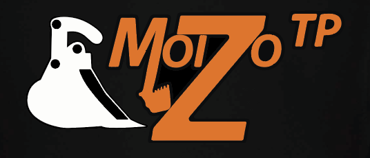logo Moizo TP Noir